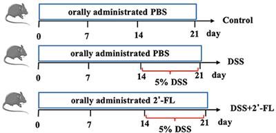 2′-Fucosyllactose Ameliorates Inflammatory Bowel Disease by Modulating Gut Microbiota and Promoting MUC2 Expression